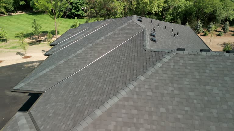 Best Solar Panel Roofing Installation  in San Carlos Park, FL